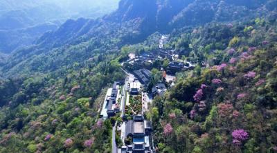 免门票、半价游！武当山风景区推出2026春季学生及家长专项优惠