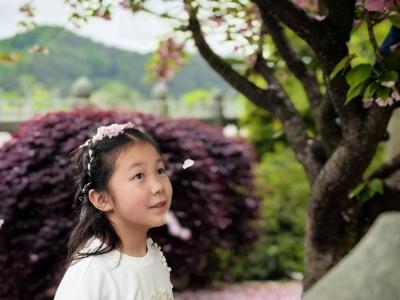 来武当山的100个理由丨太极湖畔春意浓 踏春赏景享悠然