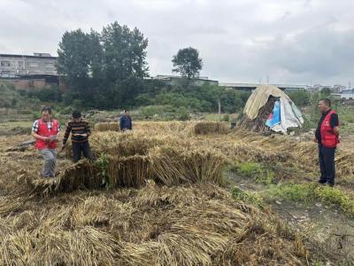 ​十字岭社区：抓实秸秆禁烧 守护生态底色