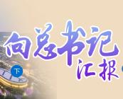 向总书记汇报（下）