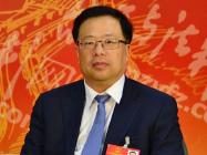 微光汇聚 点亮荆楚——湖北团部分代表抗疫中勇当志愿者