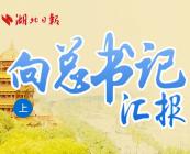 向总书记汇报（上）