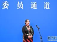 全国政协委员通过网络视频方式接受媒体采访