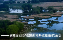 历史性消除绝对贫困，9张图了解西藏脱贫攻坚