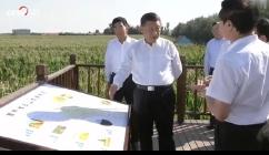 微视频丨总书记问策“十四五”.mp4