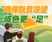 确保脱贫攻坚成色更“足”