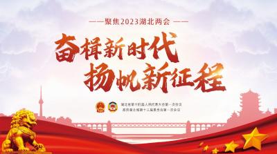 专题｜聚焦2023湖北两会-澳门澳门澳门精准大全