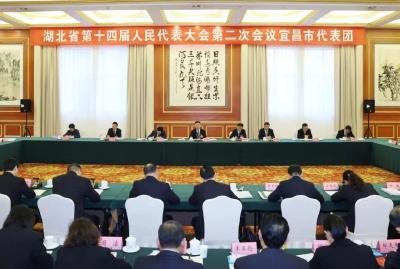王蒙徽参加省十四届人大二次会议宜昌代表团审议