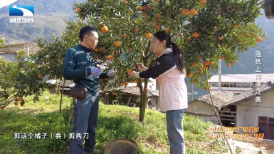 《是这个理》：渔民上岸清江美