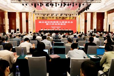 湖北省社科联第九届委员会第六次全体会议在汉召开