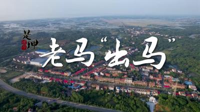《是这个理》：老马“出马”