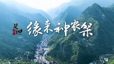 《是这个理》：缘来神农架
