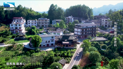 《是这个理》：吊脚楼的流量密码