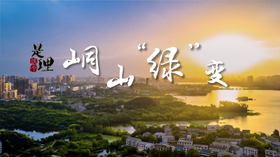 《是这个理》：峒山“绿”变