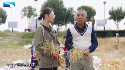 《是这个理》：“织”景融城乡