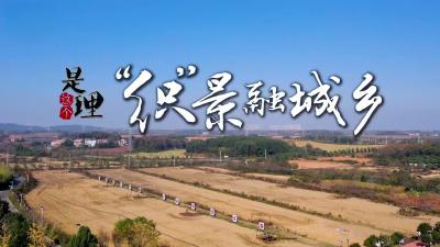 《是这个理》：“织”景融城乡