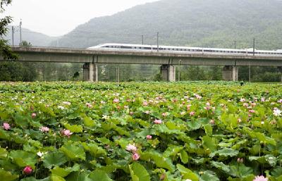 赤壁：强化工程建设招投标领域全流程监督