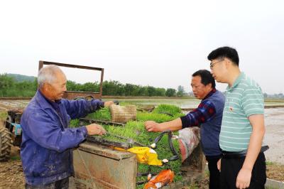  枝江: 下沉遍访察民情 做实监督暖民心