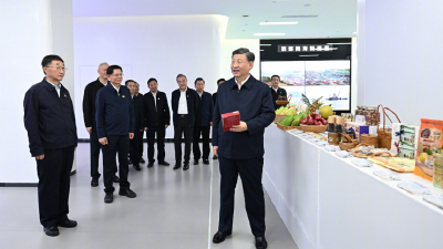 习近平在广西南宁考察调研