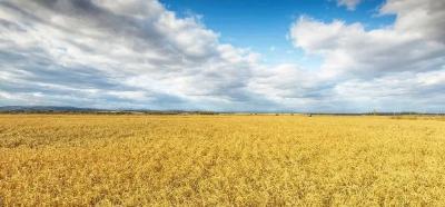 秭归：全程监督压实责任 畅通农村水网润民心