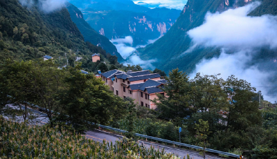 巴东县：以学促行强本领 推动全会精神落地见效