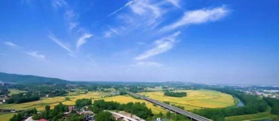 竹山：完善澄清正名机制 为干事者撑腰鼓劲