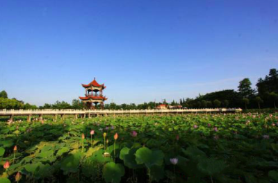 洪湖：完善机制 提高问题线索办理质效