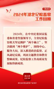 一图速览 | 2024年湖北纪检监察工作回顾 