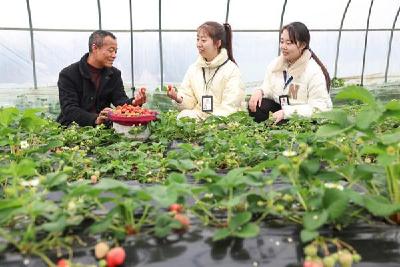 镜头丨襄阳：立足监督“小切口” 做实民生“大文章”