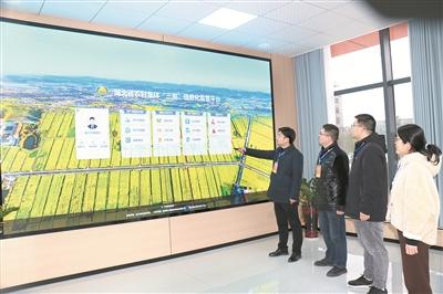 专项整治破解农村集体“三资”监管难题——“这事办在了心坎上”