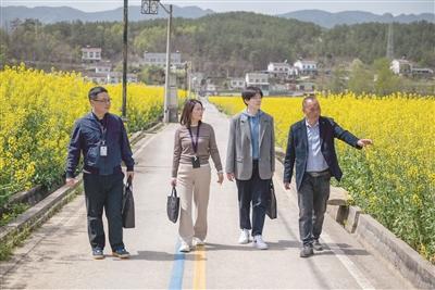 湖北“双专班、双方案”双管齐下 深化高标准农田建设领域治理