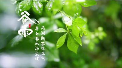 节气说廉 | 谷雨：雨润新苗生正气 廉如春水涤尘埃