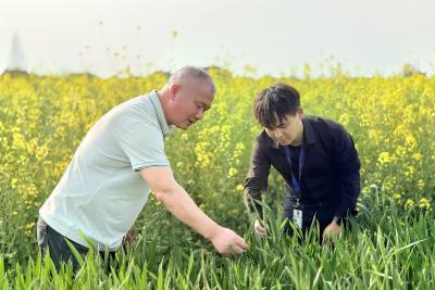 荆州：聚焦关键环节 监督护航春耕生产