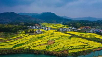 通城：监督护航文旅融合 激活乡村振兴“新引擎”
