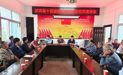 沙洋：打好“组合拳”推动纪律教育常态长效