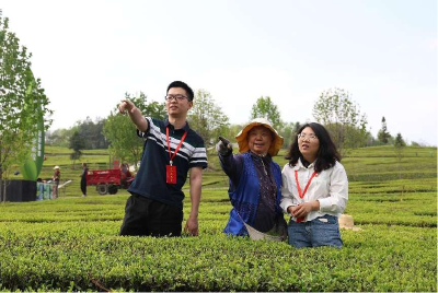 镜头 | 宜昌：深入一线察实情 精准监督护民生