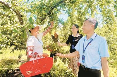 湖北：织密织牢基层监督网 严管小微权力运行