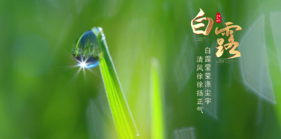 节气说廉 | 白露：白露莹莹涤尘宇 清风徐徐扬正气