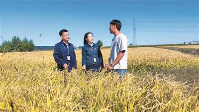 让中国饭碗端得更稳更牢 为高标准农田建设筑牢纪律“防火墙”