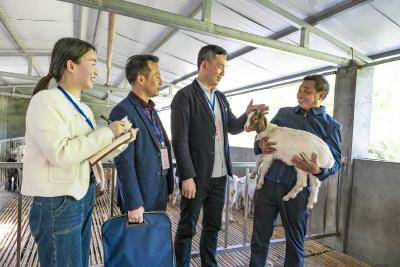 镜头 | 十堰：靶向监督为乡村振兴“赋能聚力”