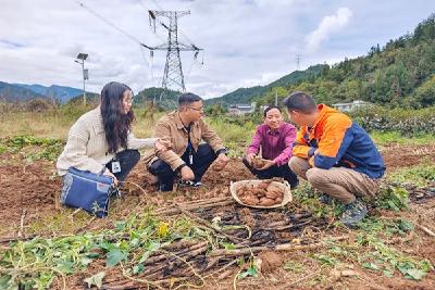 镜头 | 恩施州：深入基层访民情 一线监督护民生
