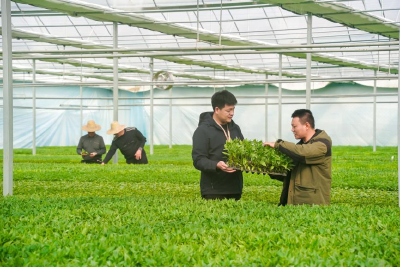 2025清风行 | 天门：强化“三资”监管 擦亮乡村振兴清廉底色