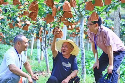 2025清风行 | 恩施州：利剑高悬 持续惩治“蝇贪蚁腐”护民生
