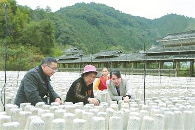 纪检监察机关紧盯关键环节，严查责任、作风和腐败问题 巩固拓展脱贫攻坚成果