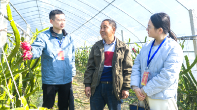 2025清风行 | 黄石：构建智慧监督闭环 数字赋能基层治理