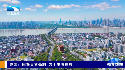 正风肃纪反腐2025 | 湖北：向诬告者亮剑 为干事者撑腰