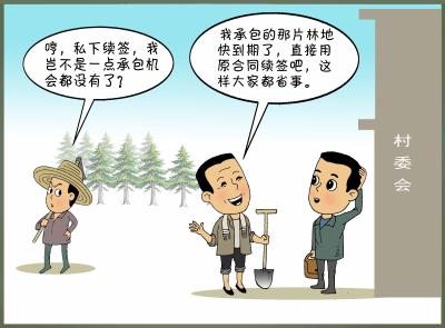 你问我答（100）·​村集体林地承包到期，原承包人想续租，能直接沿用原合同条款吗？