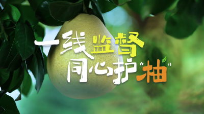 基层监督vlog | 一线监督 同心护“柚”