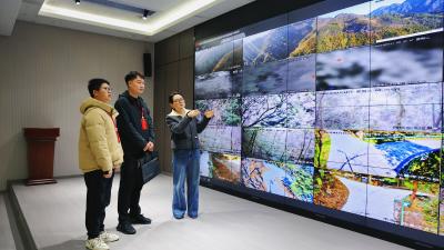 镜头 | 宜昌：监督筑牢森林资源防护墙