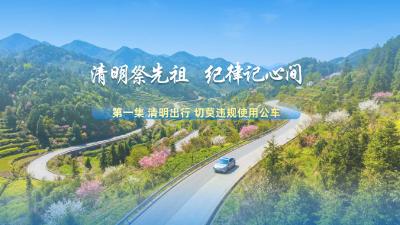 节日话廉 | 清明出行 切莫违规使用公车